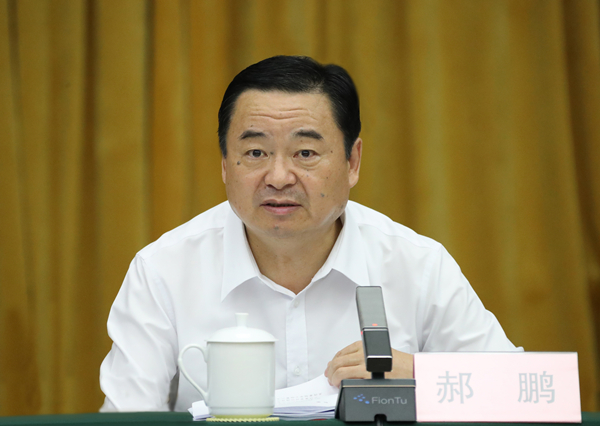 郝鵬、國資、央企、國資委、書記、主任、國企、企業(yè)改革