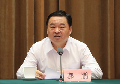 郝鵬、國資、央企、國資委、書記、主任、國企、企業改革